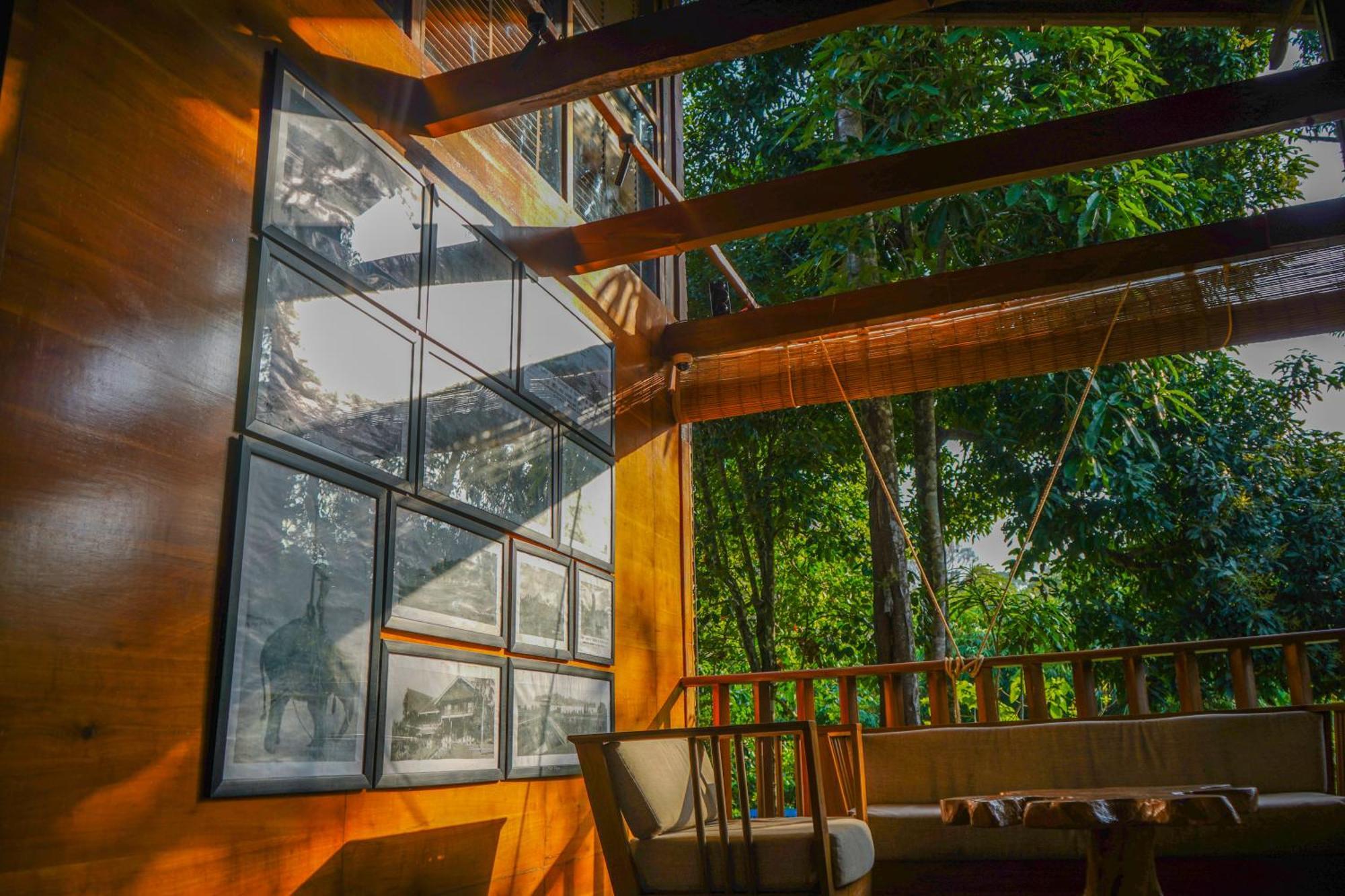 De Foret Elephant Beach Exterior photo