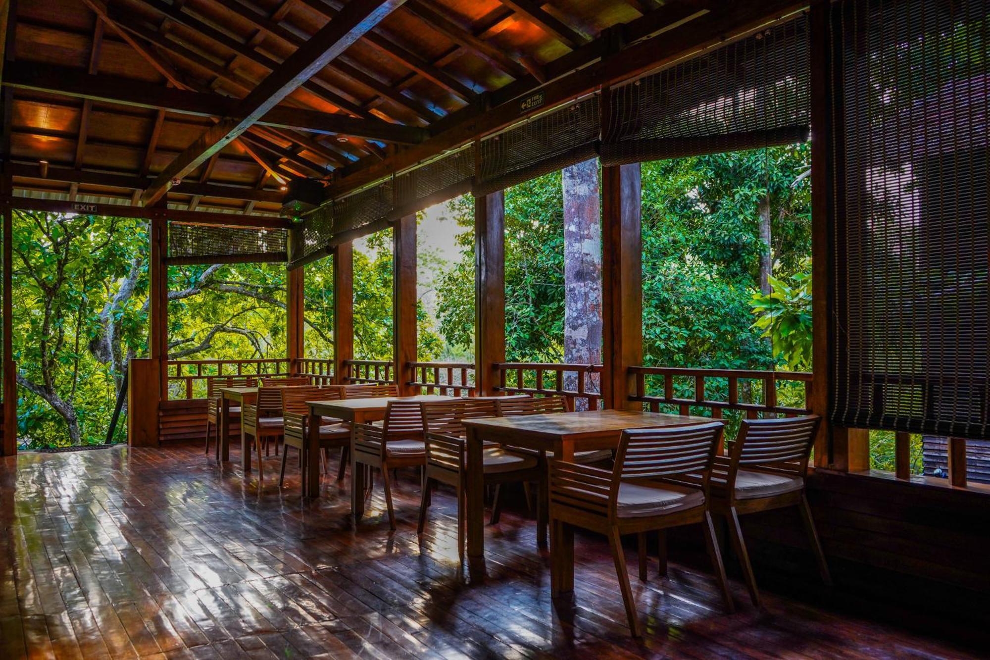 De Foret Elephant Beach Exterior photo